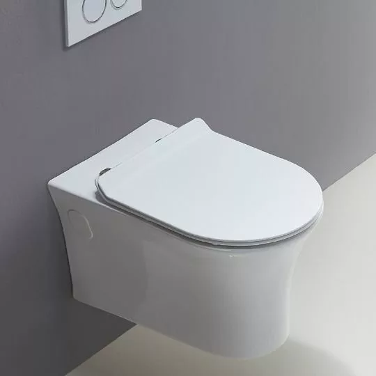 картинка Унитаз подвесной BelBagno Ancona BB1224CHR безободковый 