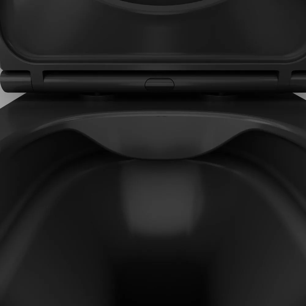 картинка Подвесной унитаз Am.Pm Func C8F1700MBSC 49 см FlashClean с сиденьем микролифт черный матовый 