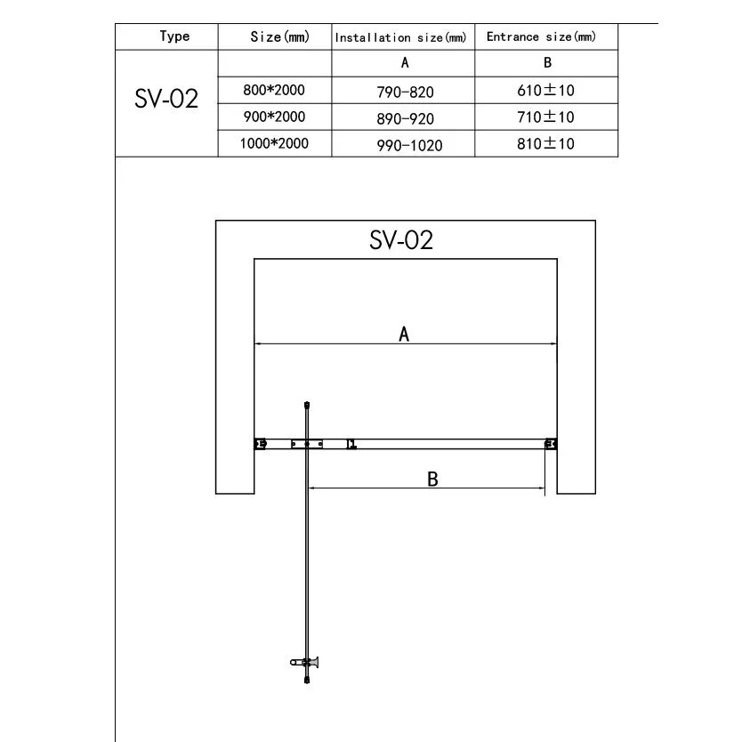 картинка Душевая дверь RGW SV-02 06320208-11 